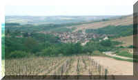 Irancy - a magnifficent vue over the small valley - Click to see a larger picture